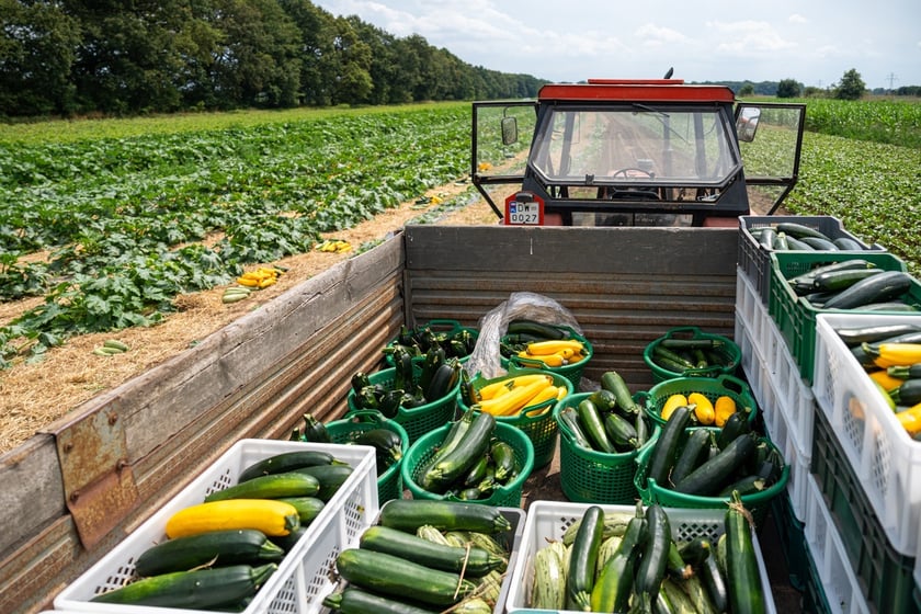 Miejska Farma Wrocławia